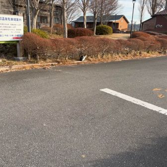 山頂はこの辺りかなぁ？
何もない舗装道路を踏み締めていると…