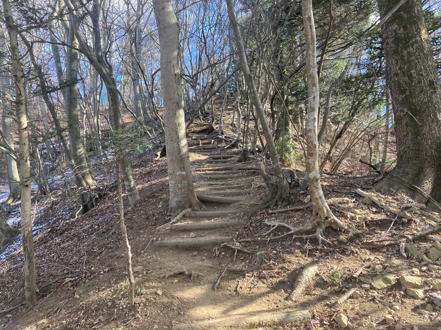 水とエネルギー館-高取山-宮ヶ瀬越-仏果山-仏果山登山口 周回コースの写真