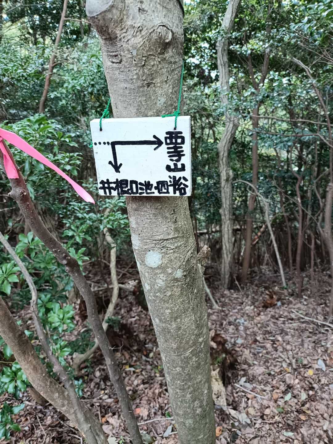 井根口池に向かって下山します⤵️