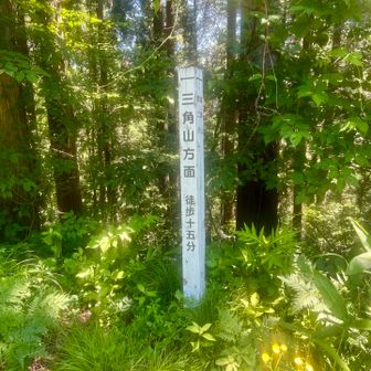 いつ見ても登山口から徒歩15分てなかなかない
