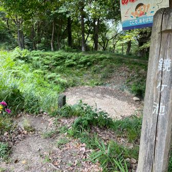鏡ヶ池、えっ！