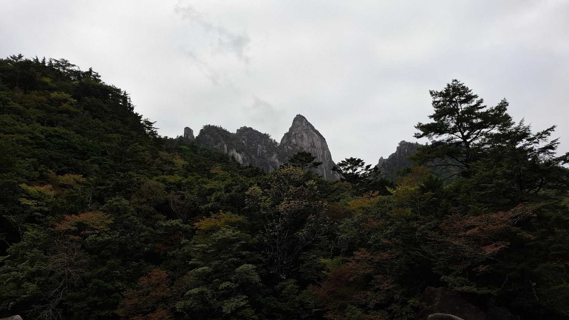 坊主尾根コース | ハシゴ・鎖場多数。九州最後の秘境と呼ばれる大崩山への写真