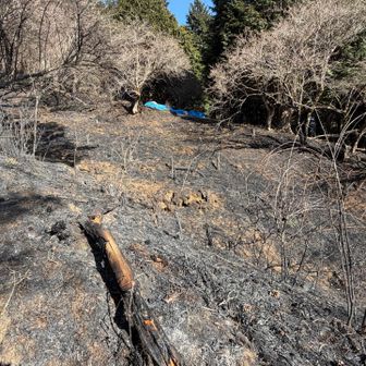 山火事の跡。まだ、焦げた匂いを感じる。