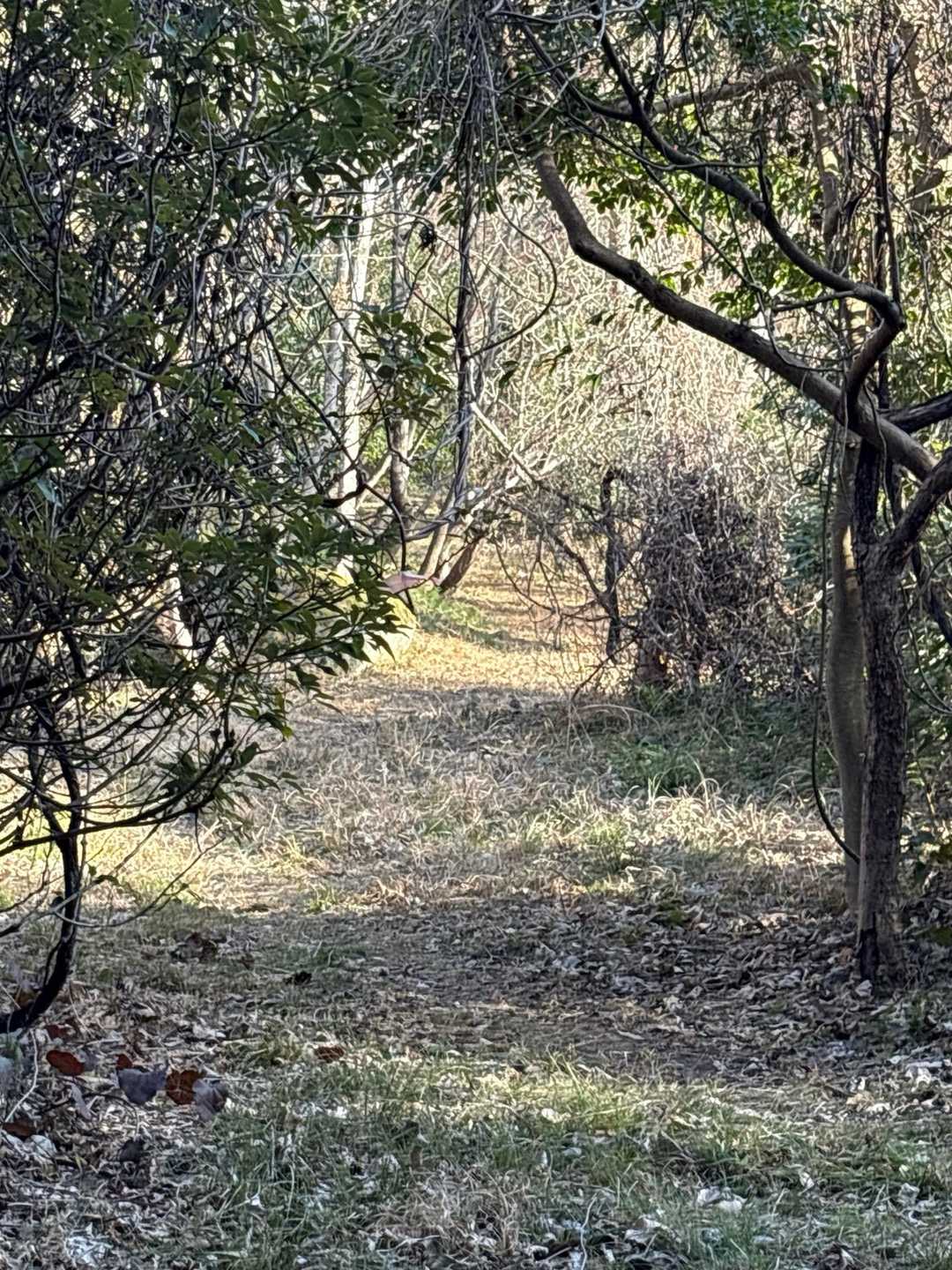 良い道かな⁉️と思ったら