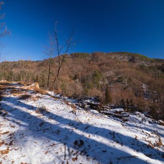 登っていくと伐採地にｄてきた。作業林道を進む