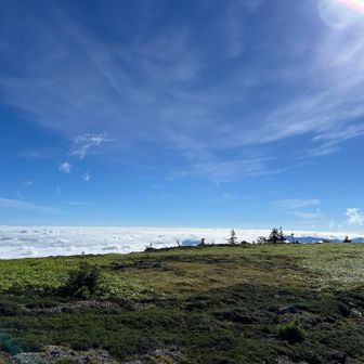 広い山頂