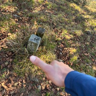 登りきる度に自分を褒めちぎりました👍