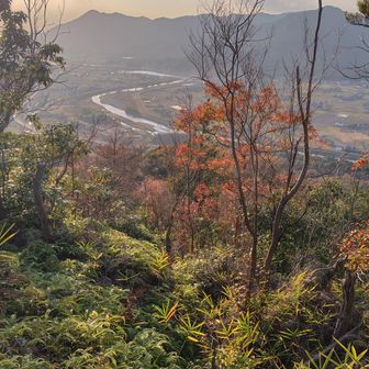 少し陽が傾いてきました。
1時間くらい軽く散歩するつもりが思った以上に時間経ってました。
