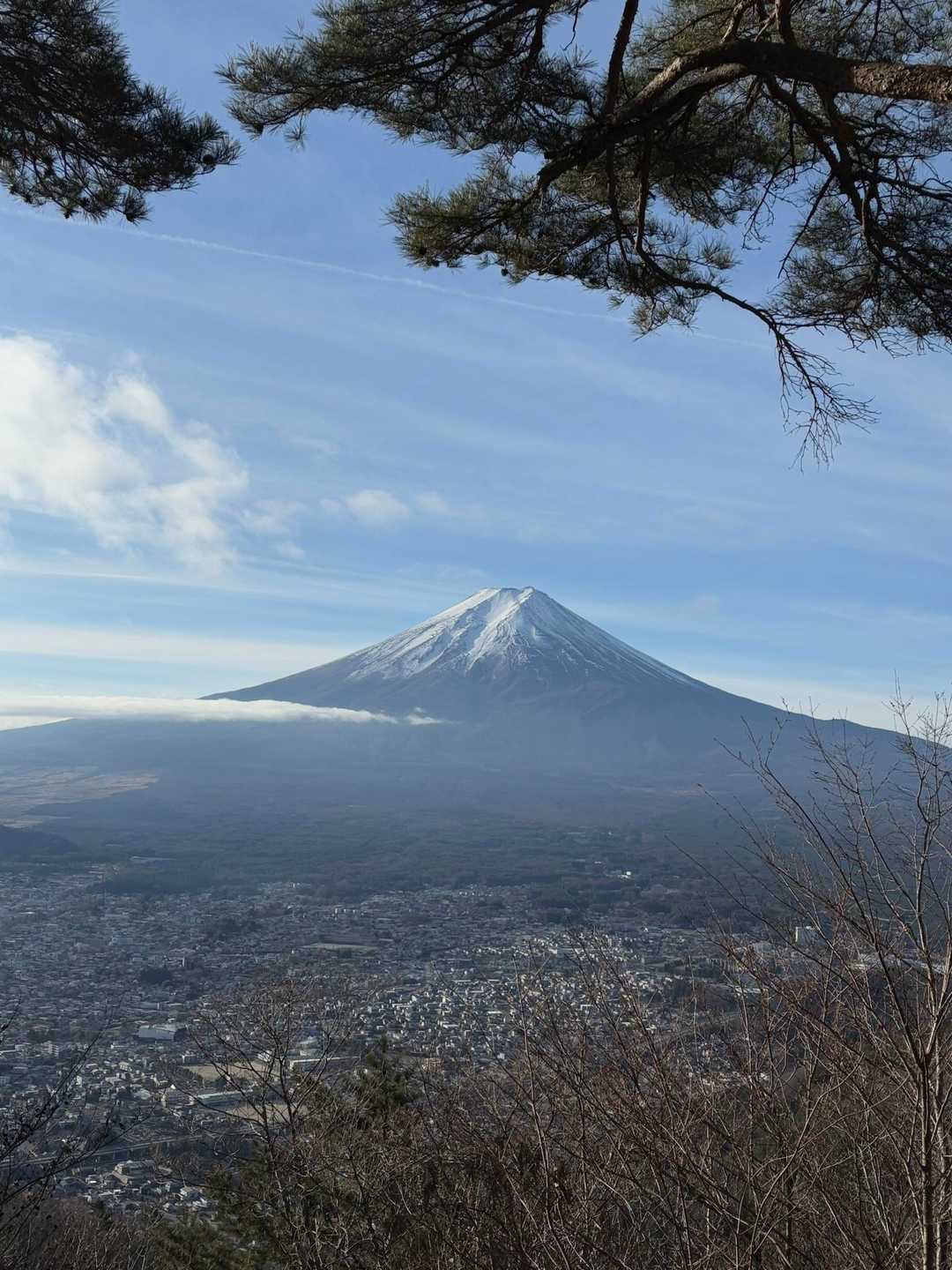 木の間から富士山。短時間で山頂の様子が変わる。