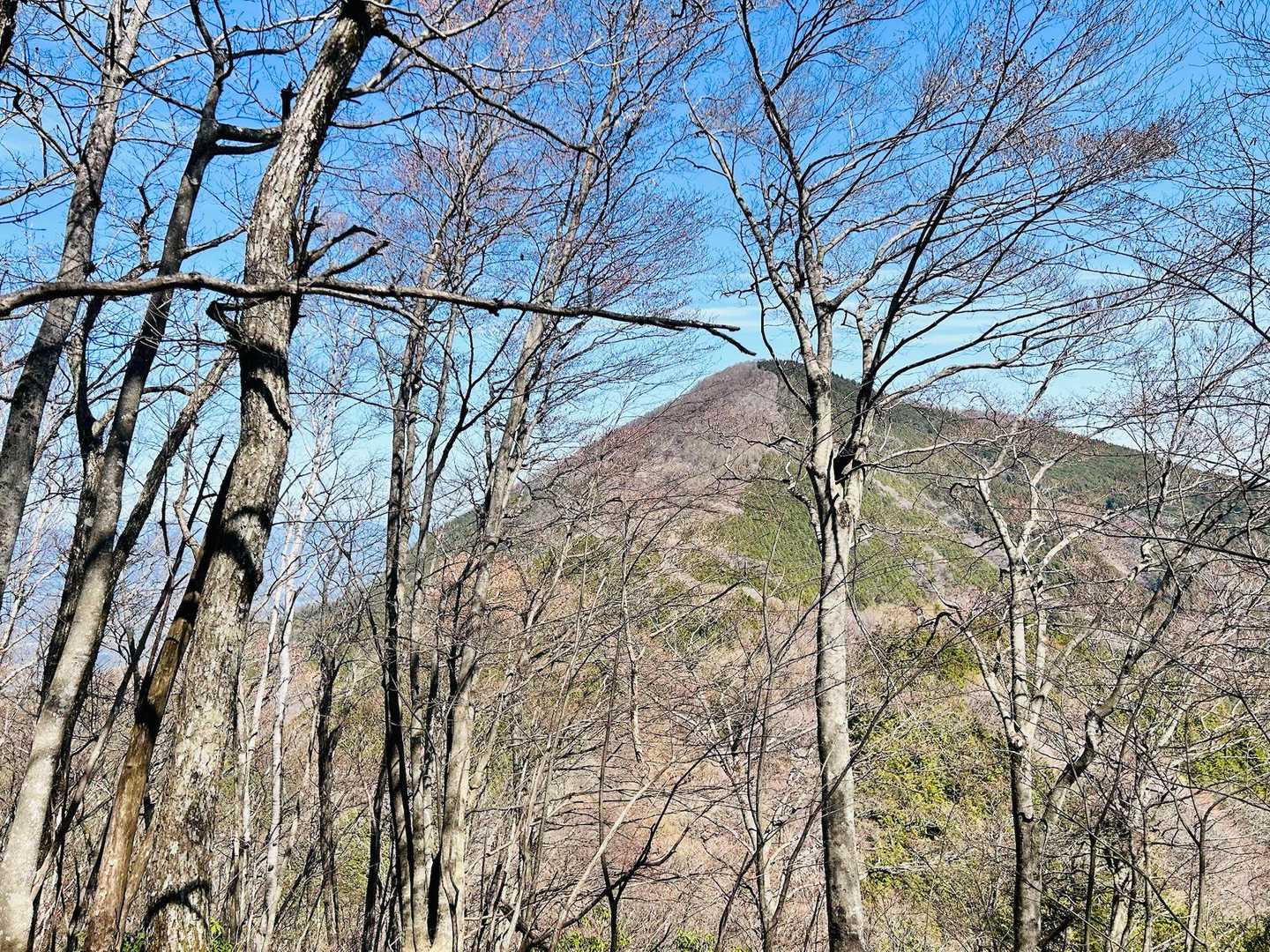 振り返って武甲山⛰️
今回はスルーで