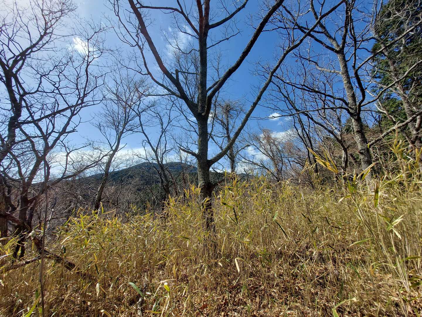 ヤマップ山頂ランドマークがズレています