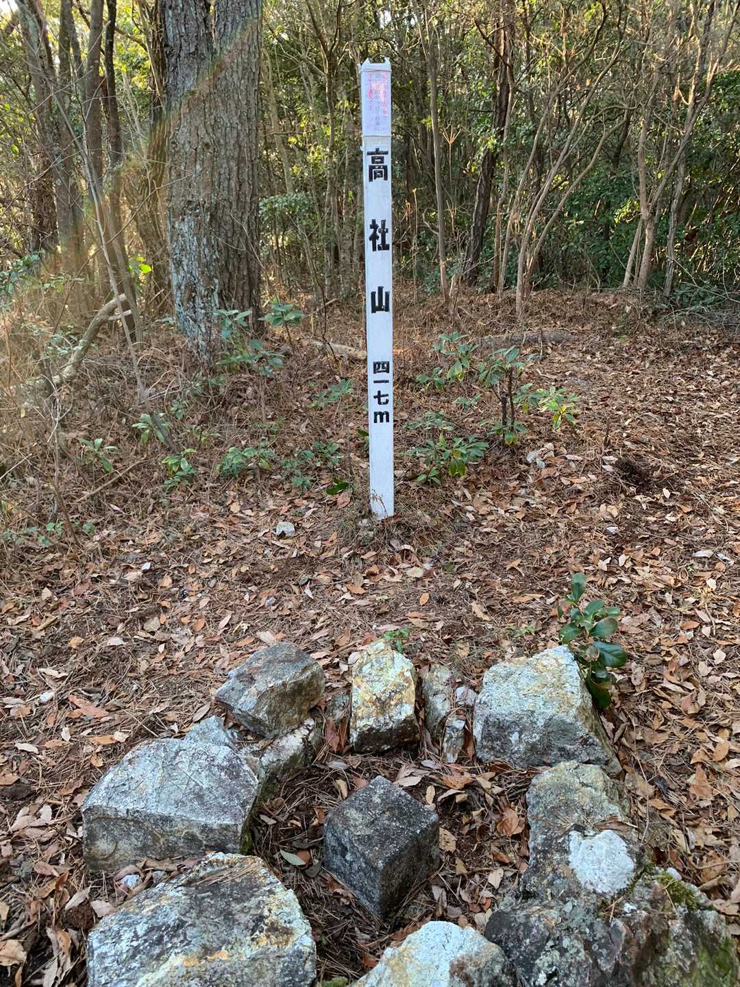 ハイ、頂上⛰👍