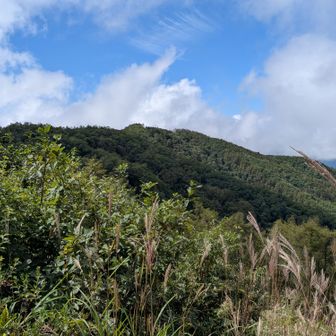 東峰〜守屋山山頂方面を見る👀🫰😆✊️