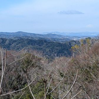 富士山どーーーーん