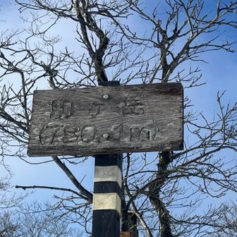 一応アップも📸