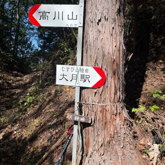 天神峠
ハイカーグループが休まれていました

極上兄さんのグループ登山トークのスポット😆
私もソロハイクが好きですyo
