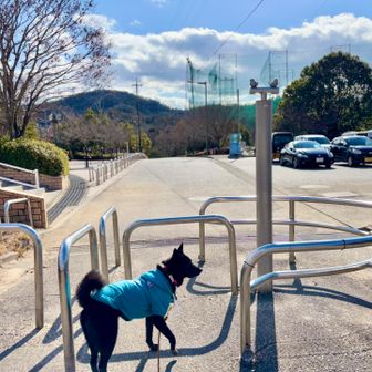 焼山公園🅿️
ポール上の小鳥が可愛い🐦💕