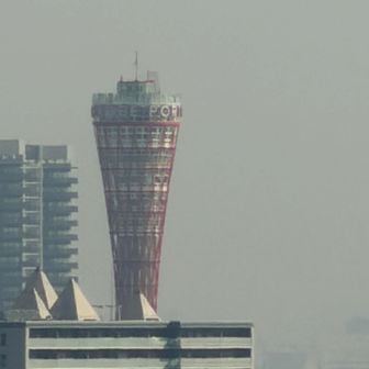 ズームしてみると…こんな感じ👍

それでは、背山に向かって歩いて行きます🐾