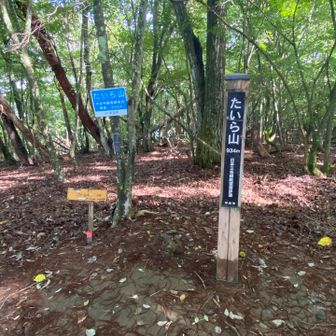 たいら山 山頂