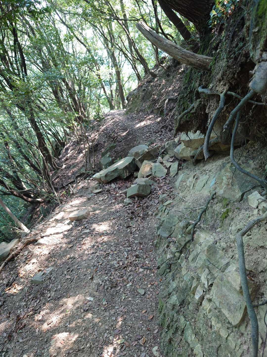崩れてるけど大したことはない