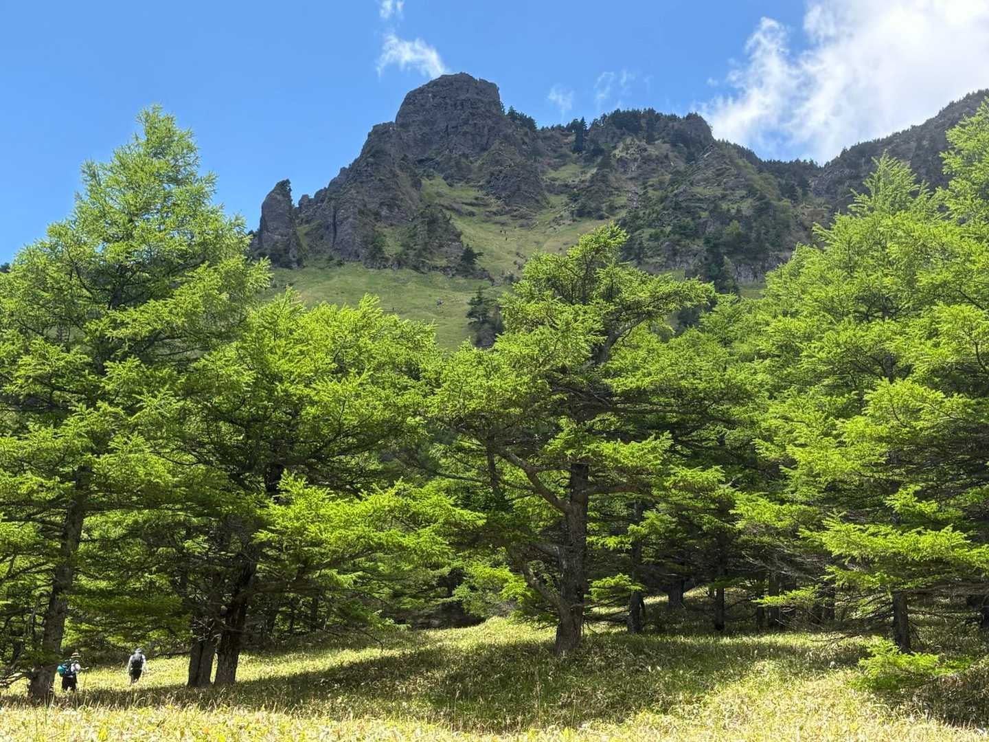 牧場のような草の広がる斜面を登り上げます。草すべりと名付けられています。
北岳といい、草すべりと名の付くところは、急斜面です。