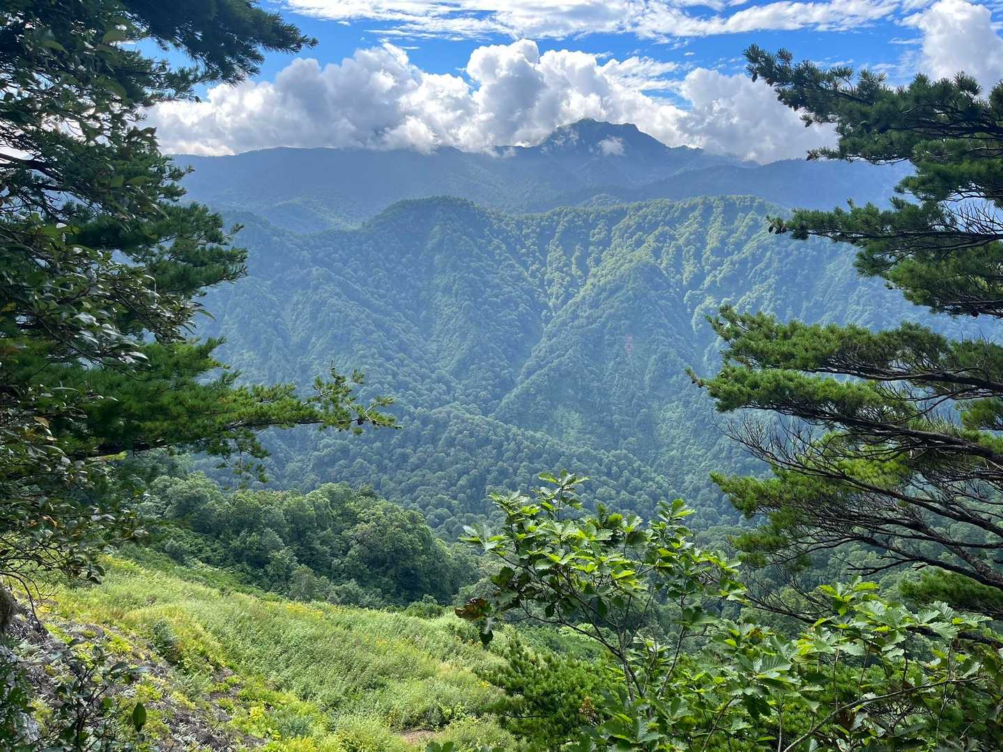 やっと景色見れた😭