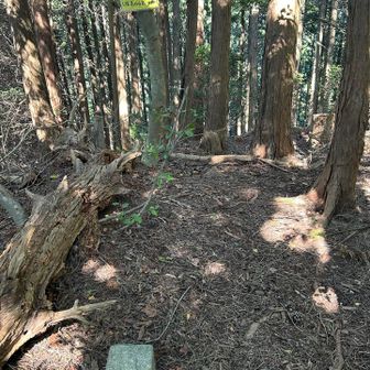 大谷山・668m
四等三角点・「大谷」