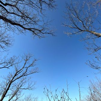 上手く説明できないけどこの1枚だけで「冬」が伝わる感じ