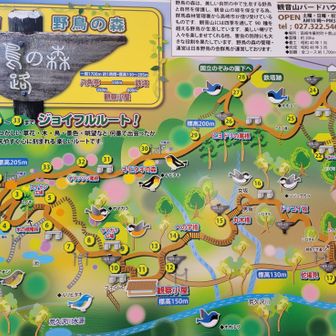 鳥さんたちにたくさん会えたけど写真なんて撮れない💦速すぎて影も写らない(笑)なので看板置いておきます。