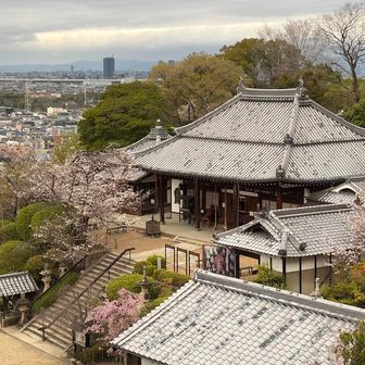 今日も南尾根コースへ
