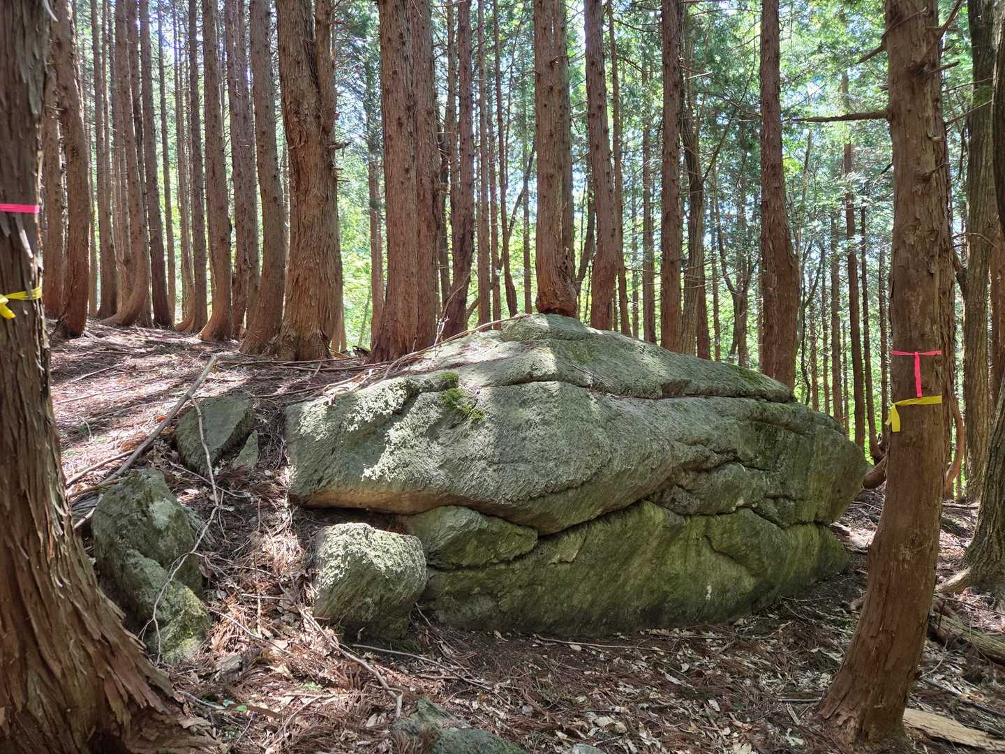 こんな大きい岩がある山だとは想像していませんでした😳👍