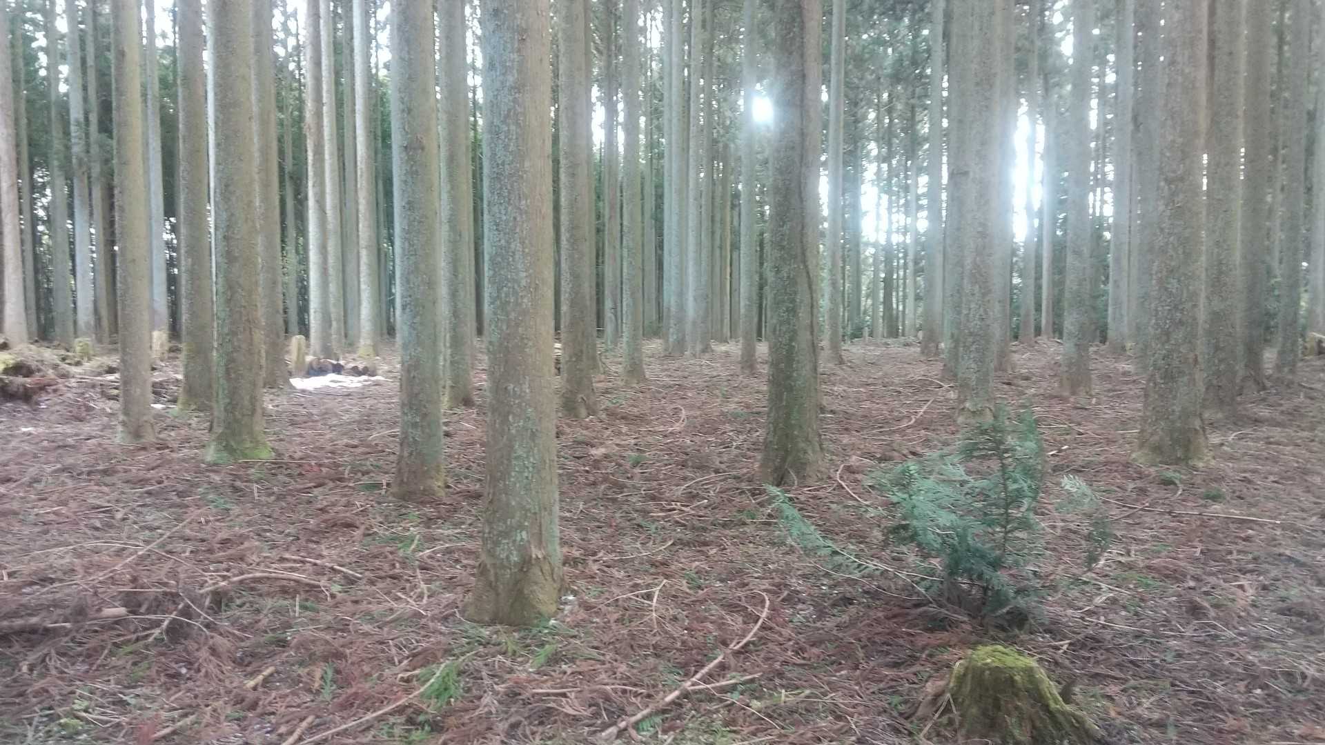 yamapのランドマークの位置