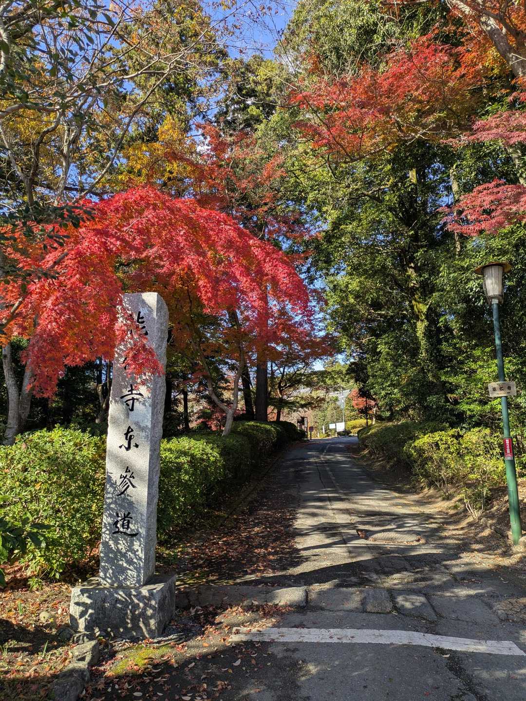 飯能駅-天覧山入口-天覧山-多峯主山-大黒山-多峯主山登山 縦走コースの写真