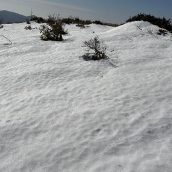 分かりにくいけど雪紋
キラキラ輝いて綺麗だった〜🤩
