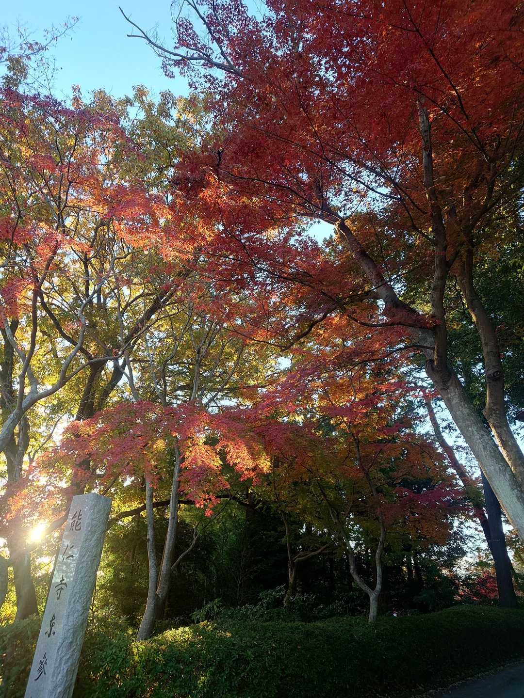 少しだけ高い山から、見える世界を変えてみる。これぞ山歩向きの低山・天覧山の写真