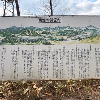 こんな山々が見えるらしい