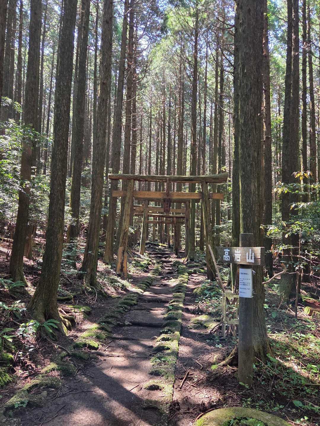 ⛩️