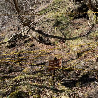 あざみ谷の方は通行止め
仁田峠から来た人もここで登り返して帰っていく
ここの登りは少し前に通行禁止になってたくらいで、上部はズルズルがひどいので要注意です