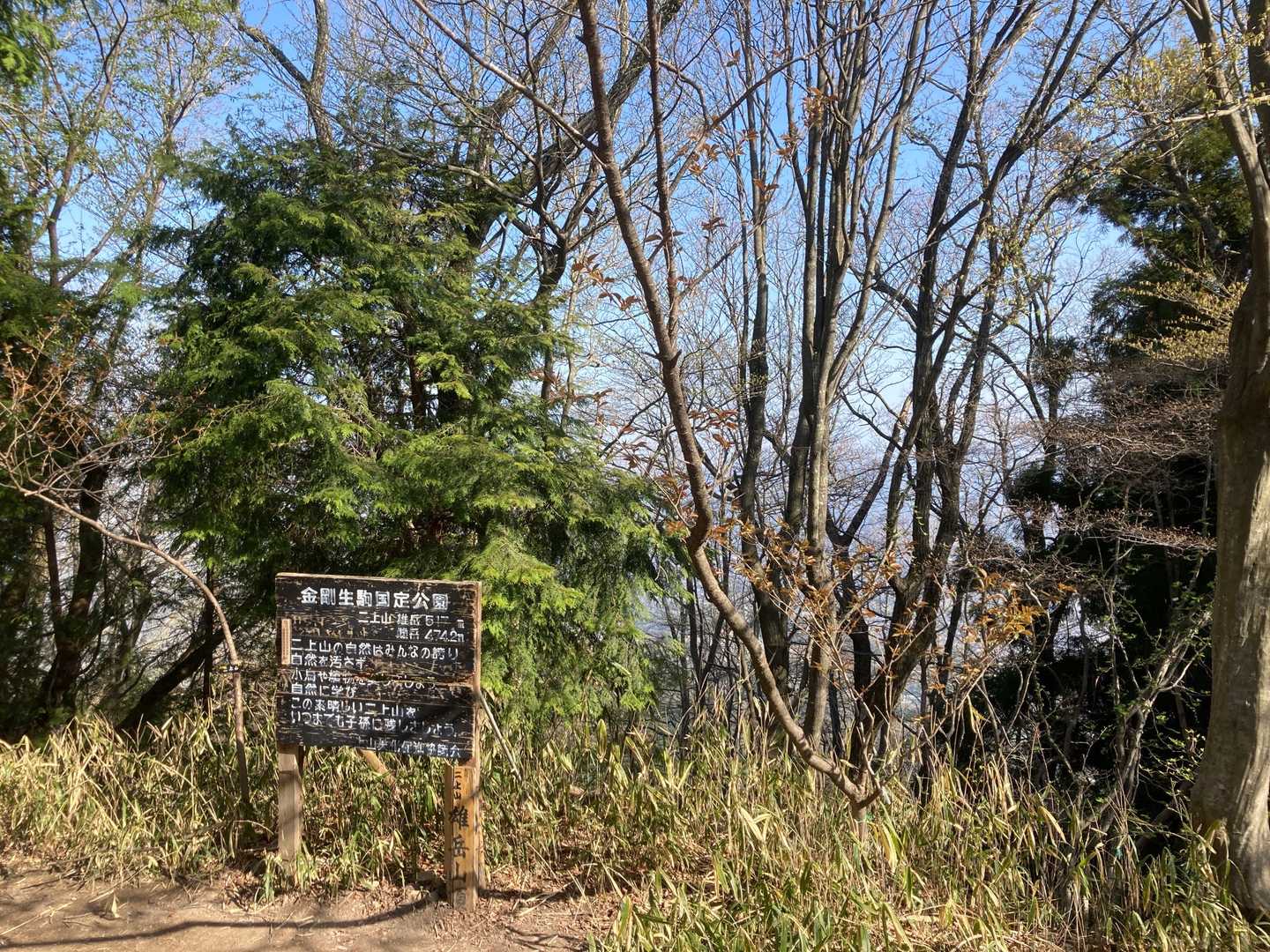 雄岳.....見晴らしゼロ😭　
前へ進もう❗️