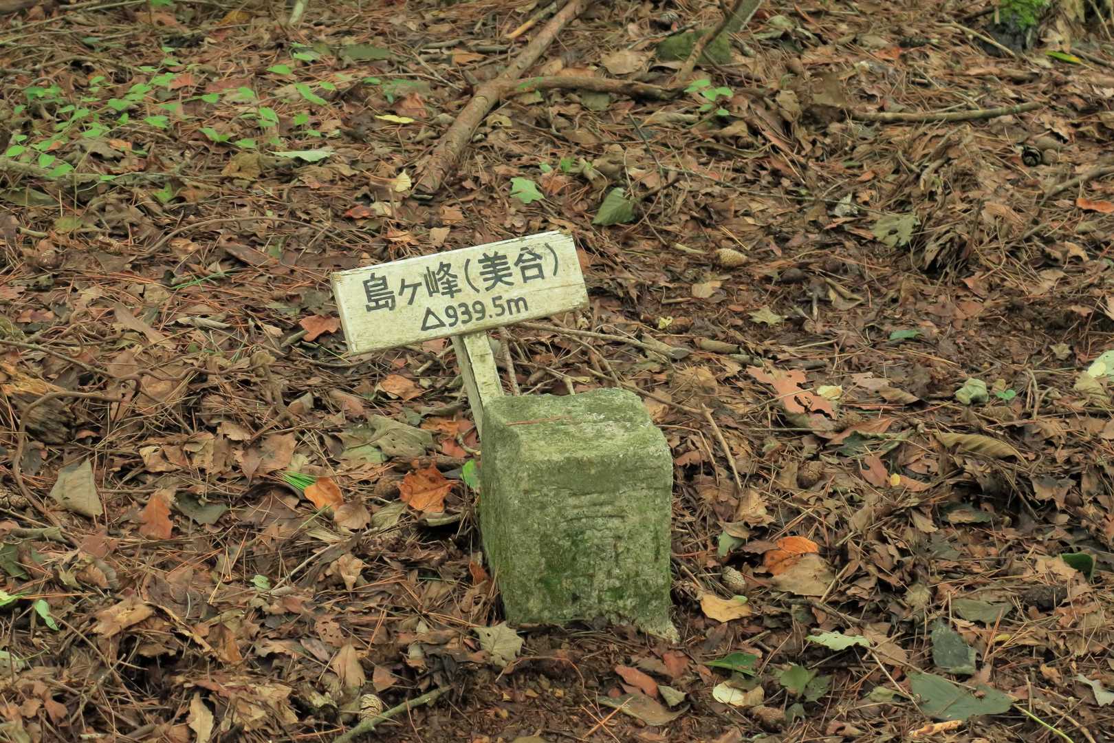 剣山-島ヶ峰 往復コースの写真