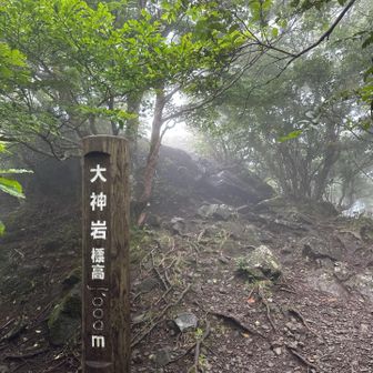 岩の上に登ってみましたが、真っ白。