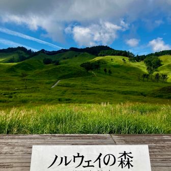 いろんなドラマ、映画のロケ地で使われたらしい。