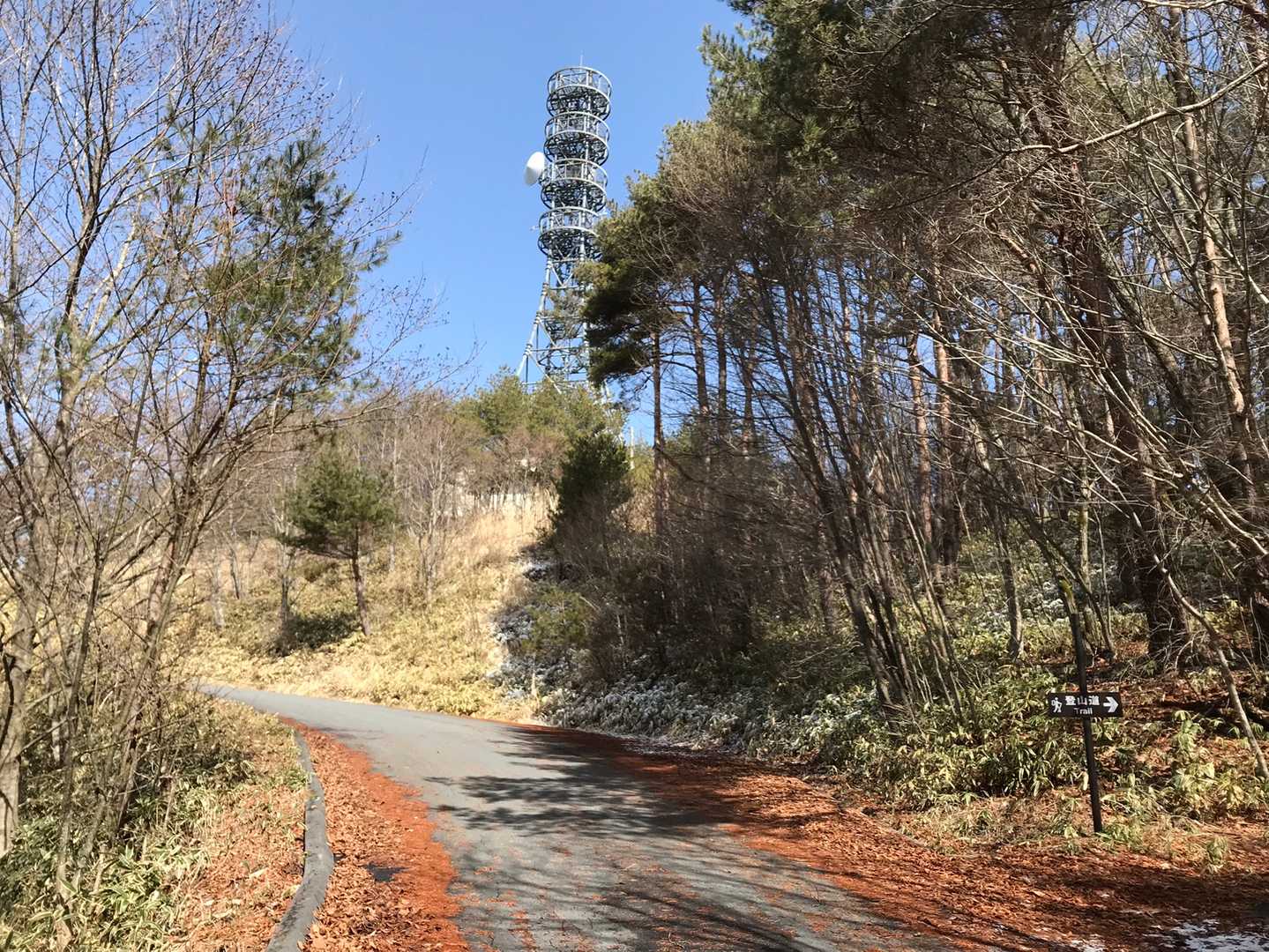 電波塔が見えました。