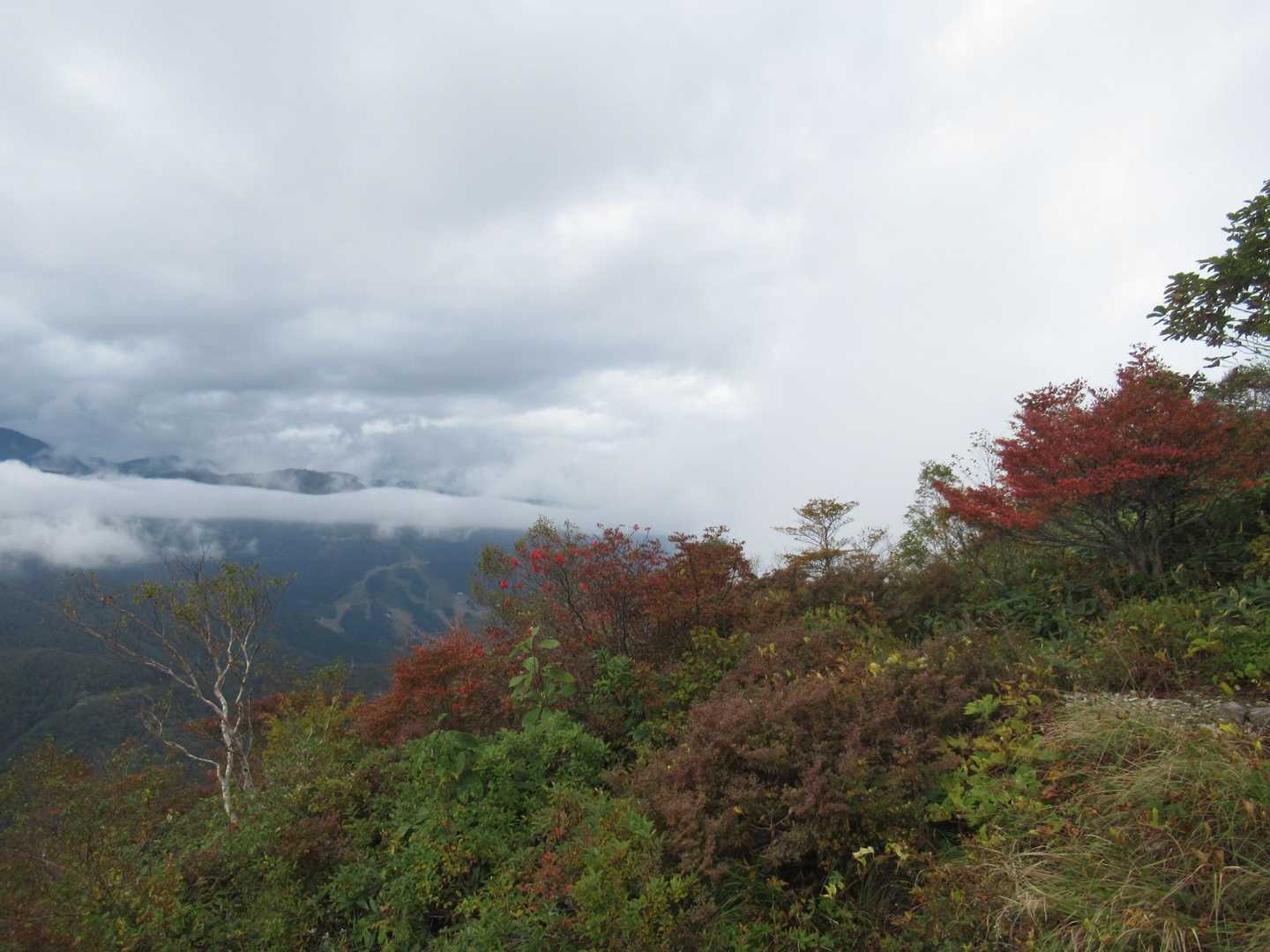 三国峠-三国山 往復コースの写真