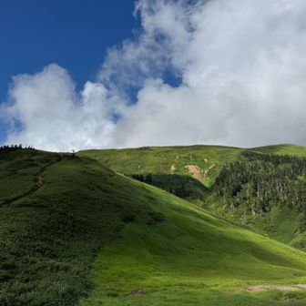 右の高い所が山頂です
