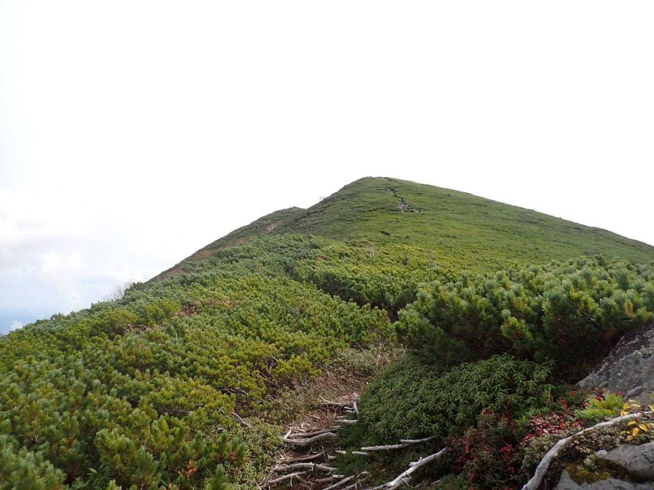 もうすぐ山頂。