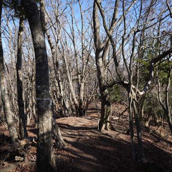 さっ、先へ進もー。
ﾃｸﾃｸ((´∀`)~♪