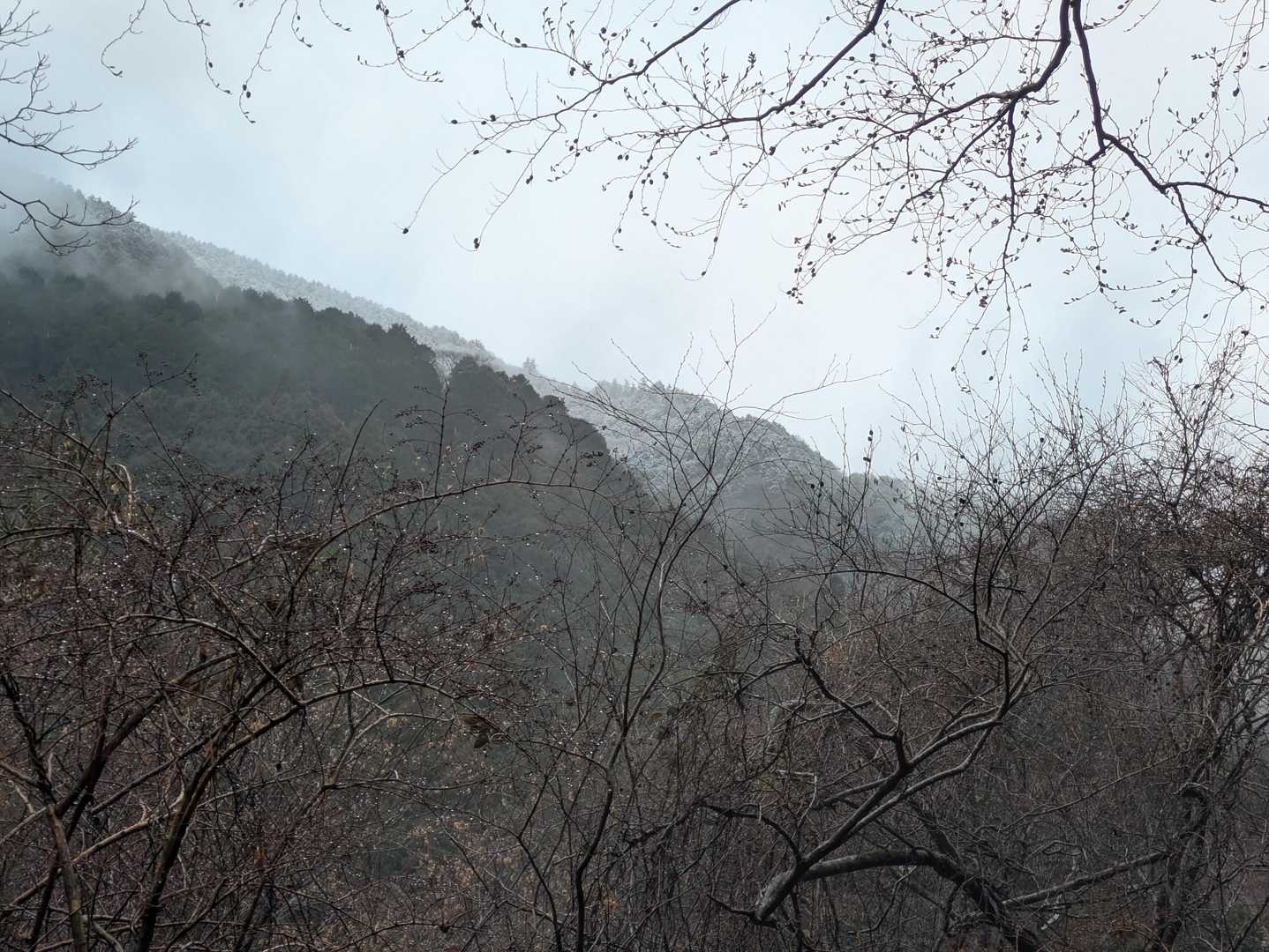 尾根に上がると雪だね