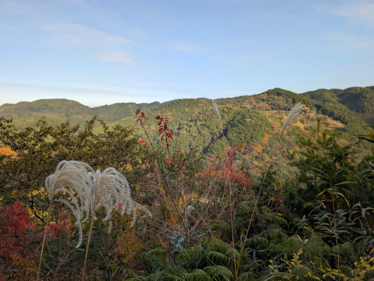 明星山 周回コースの写真