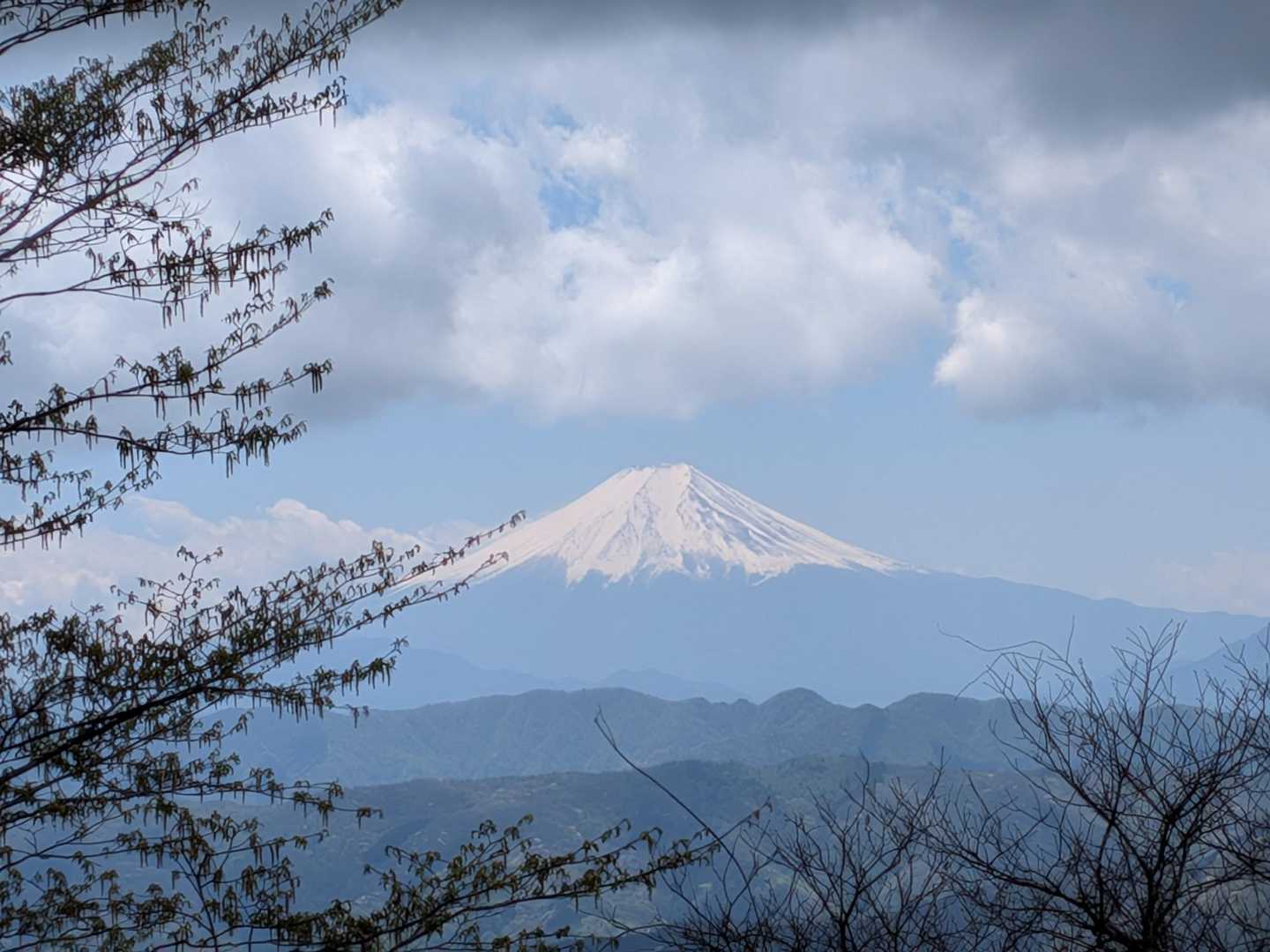 拡大